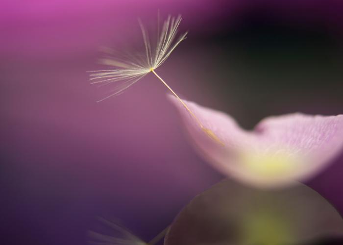 Die Seele will genährt sein